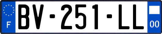 BV-251-LL