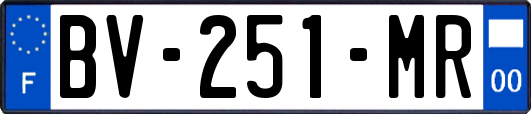 BV-251-MR