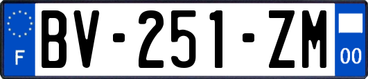 BV-251-ZM