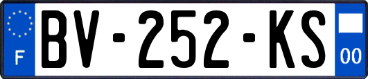 BV-252-KS