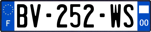 BV-252-WS