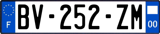 BV-252-ZM