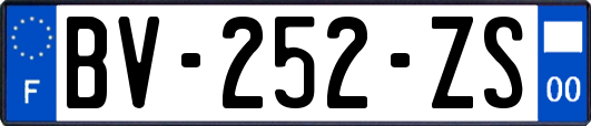 BV-252-ZS