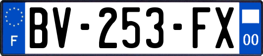 BV-253-FX