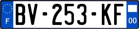 BV-253-KF