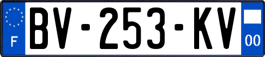 BV-253-KV