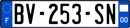 BV-253-SN