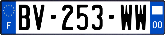 BV-253-WW