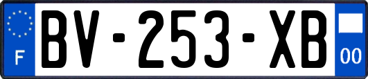 BV-253-XB