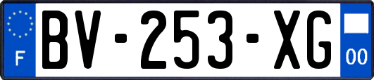 BV-253-XG