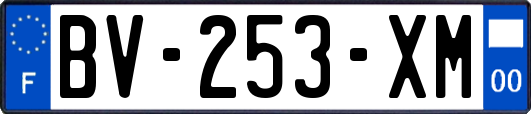 BV-253-XM