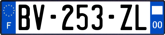 BV-253-ZL