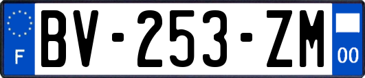 BV-253-ZM