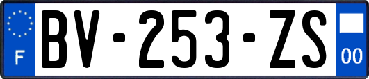 BV-253-ZS