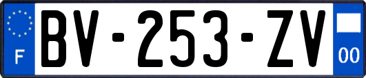 BV-253-ZV