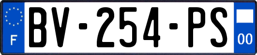 BV-254-PS