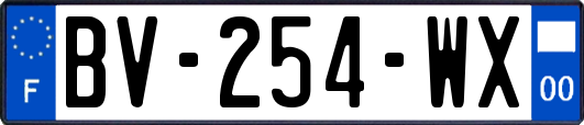 BV-254-WX