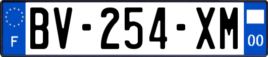 BV-254-XM