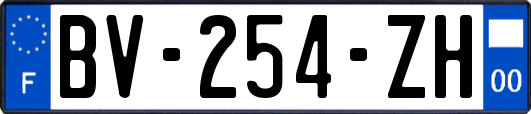 BV-254-ZH