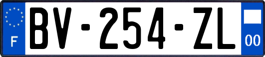 BV-254-ZL