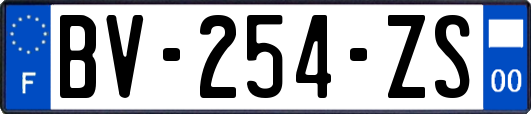 BV-254-ZS