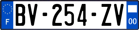 BV-254-ZV