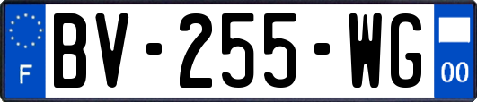 BV-255-WG