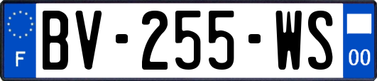 BV-255-WS