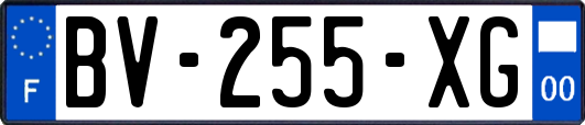 BV-255-XG