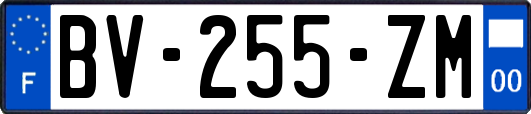 BV-255-ZM