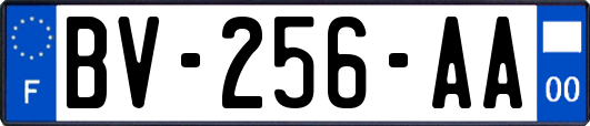 BV-256-AA