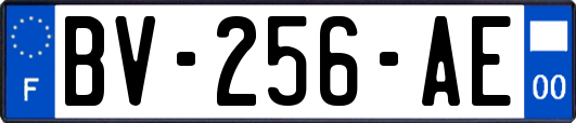 BV-256-AE