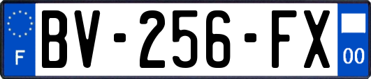 BV-256-FX