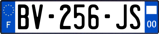 BV-256-JS