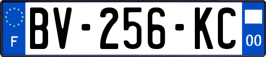 BV-256-KC