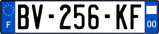 BV-256-KF
