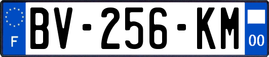 BV-256-KM