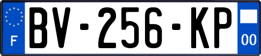 BV-256-KP