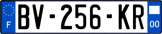 BV-256-KR