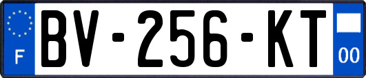 BV-256-KT