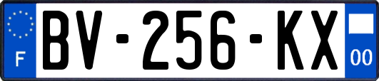 BV-256-KX