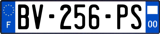 BV-256-PS