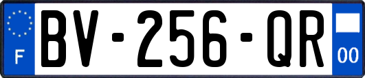 BV-256-QR