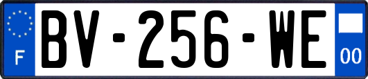 BV-256-WE