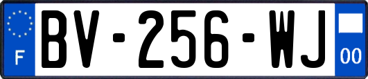 BV-256-WJ