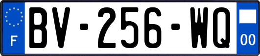 BV-256-WQ