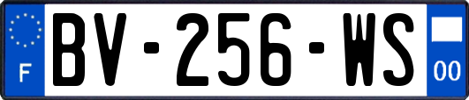 BV-256-WS