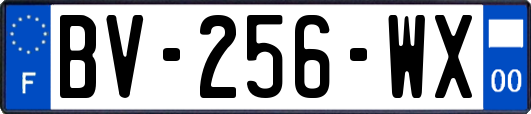 BV-256-WX