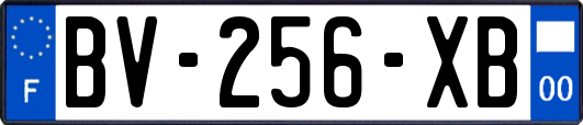BV-256-XB