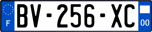 BV-256-XC